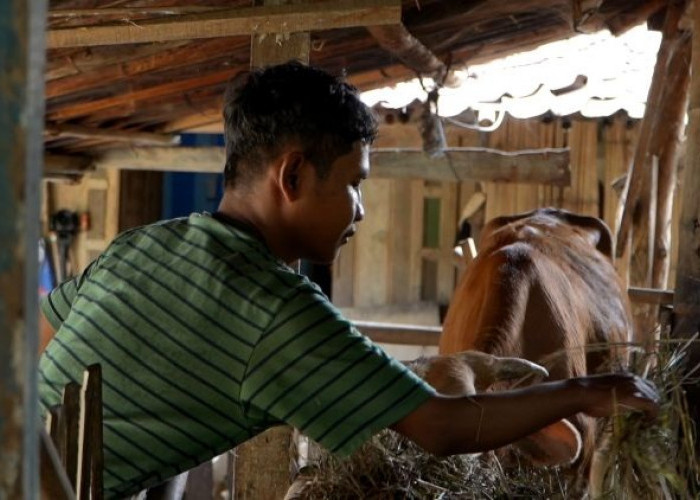 Bekerja di Dapur MBG, Penyandang Disabilitas di Sukoharjo Bisa Kredit Motor