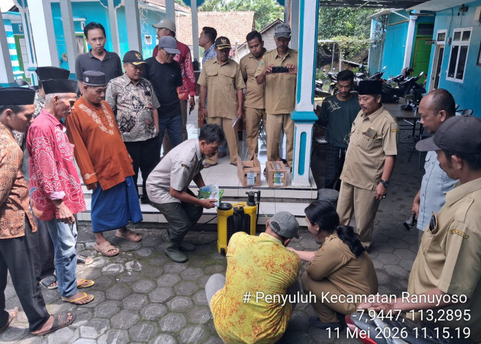 DKPP Lumajang Kawal Pertumbuhan Durian Montong di Ranuyoso, Salurkan Bantuan Pestisida dan Pupuk
