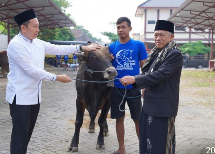 Polres Bojonegoro Salurkan 22 Sapi dan 40 Kambing Kurban pada Iduladha 1447 Hijriah