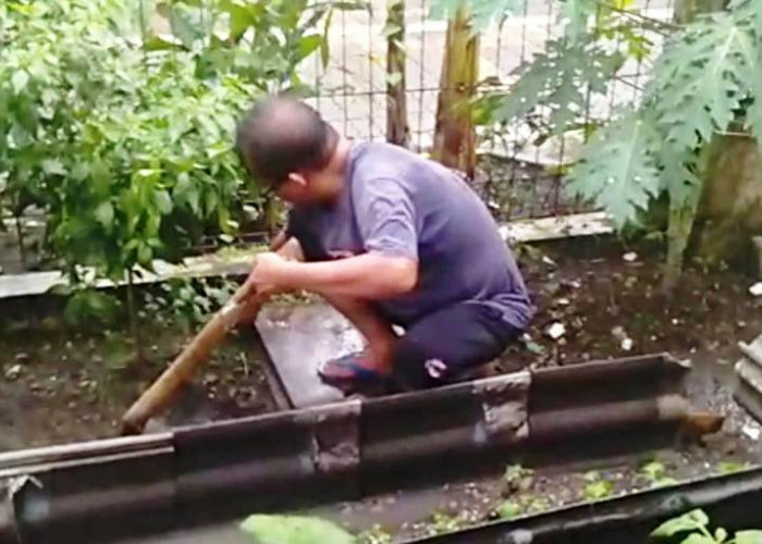 Keberadaan Hewan Liar Meresahkan, Warga Wiguna Timur Surabaya Sulap Bangunan Terbengkalai Jadi Urban Farming