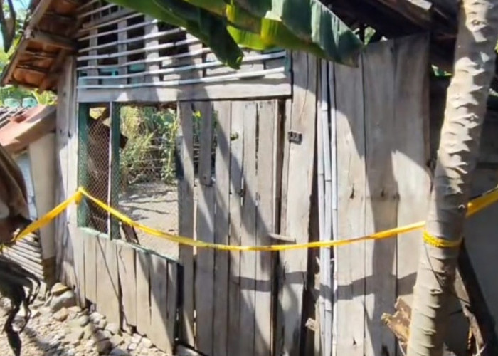 Bayi Perempuan Dibungkus Tikar Plastik Ditemukan di Kandang Kambing Desa Balung Situbondo