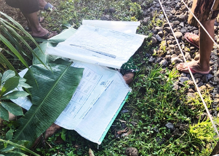 Nestapa di KM 157 Jember: Tak Dengar Teriakan Warga, Nyawa Nenek Melayang