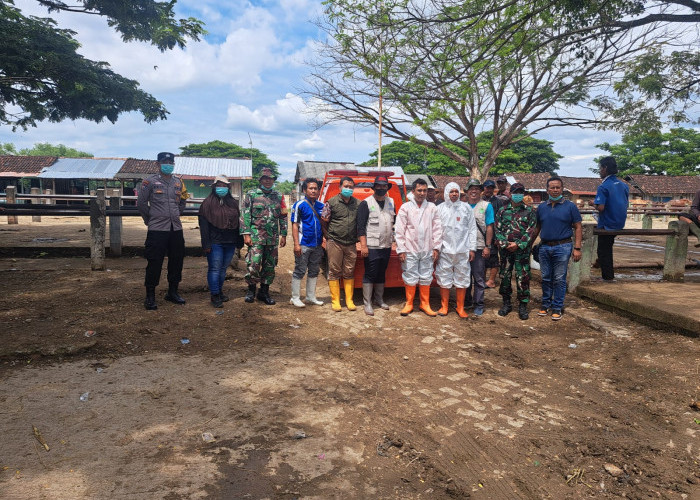 Cegah Penyebaran PMK, Bhabinkamtibmas Polsek Padangan Beri Pendampingan Penyemprotan Disinfektan Pasar Hewan