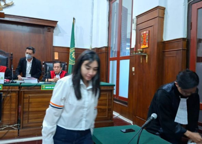 Sidang Selebgram Vinna, Ahli Pidana Unair:  Pasal Kekerasan Psikis Bukan Pasal Karet 