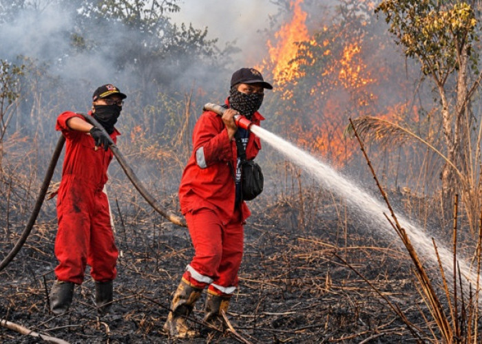 Karhutla Mengancam Lingkungan dan Kesehatan, Pencegahan Jadi Kunci