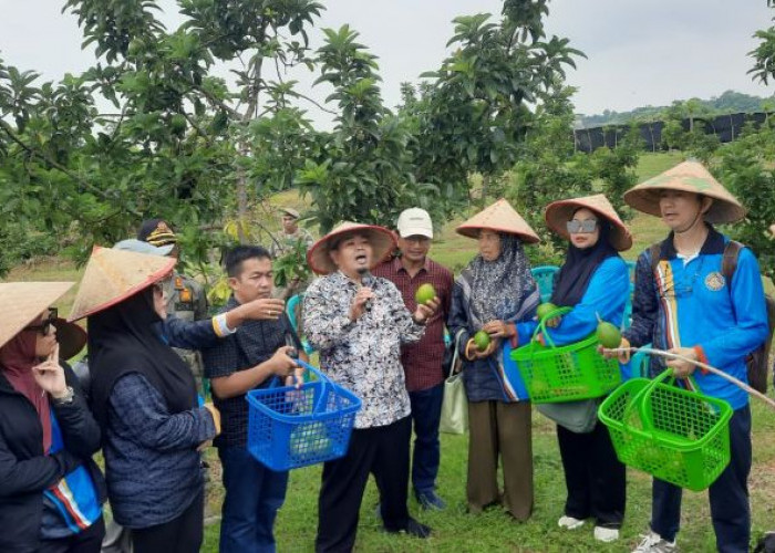 BRUDIFA Brunei Darussalam Kunjungi Situbondo, Jajaki Kerja Sama dan Promosikan Potensi Daerah