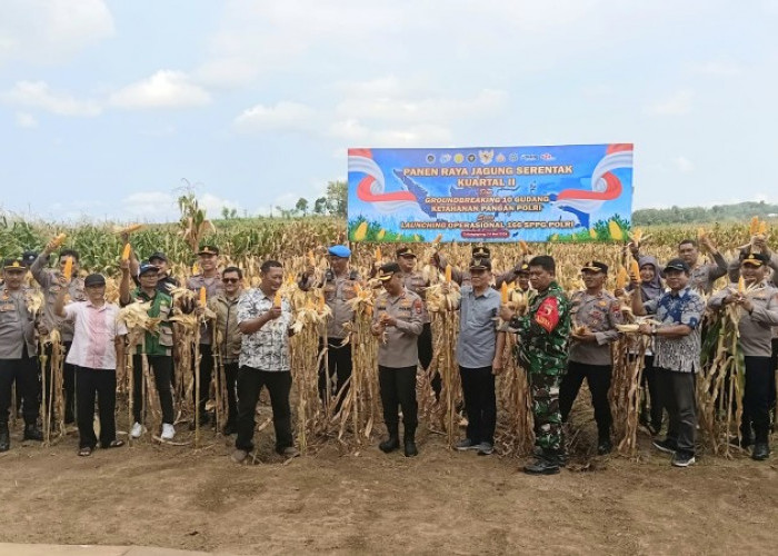 Kapolres Tulungagung Ikuti Panen Raya Jagung Serentak Kuartal II 2026 di Desa Jeli