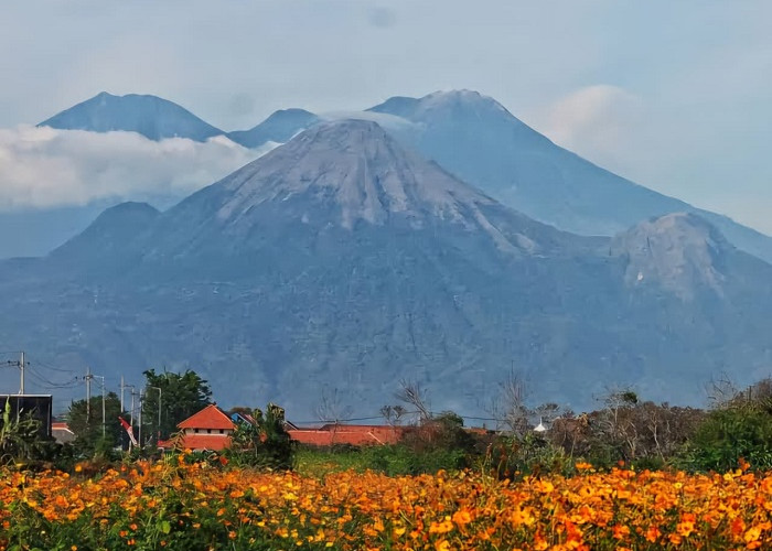 Pendakian Gunung Arjuno-Welirang Ditutup Dampak Kebakaran Hutan di Tahura R Soerjo