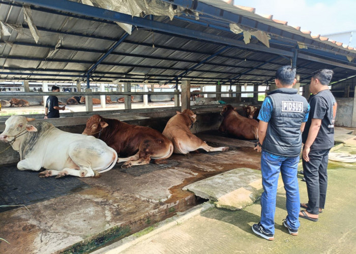 Jelang Iduladha 2026, Polres Ngawi Pastikan Hewan Kurban Sehat dan Layak