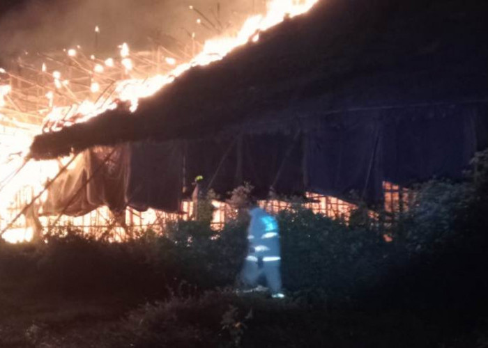 Landa Gudang Pengeringan Tembakau PTPN 1 Jember Terbakar