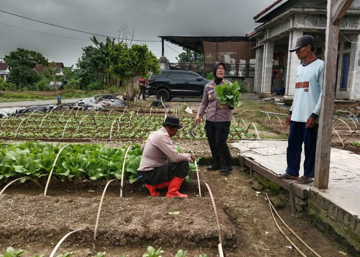 Polsek Pakel Ajak Masyarakat Dukung Pekarangan Pangan Bergizi di Tulungagung