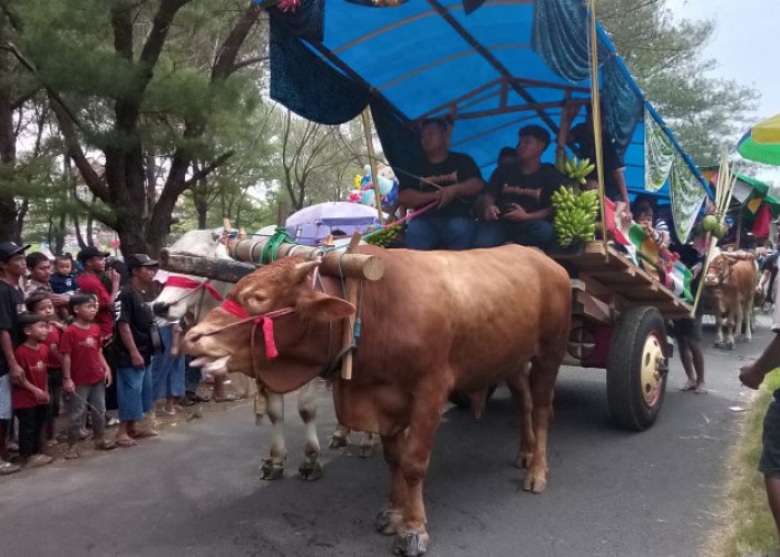 Lestarikan Tradisi Leluhur, 36 Pegon Hiasi Pesisir Selatan Jember Dalam Festival Ketupat