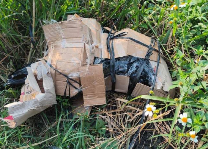 Masih Utuh, Mayat dalam Kardus di Tepi Jalan Kedamean Gresik Berkelamin Perempuan