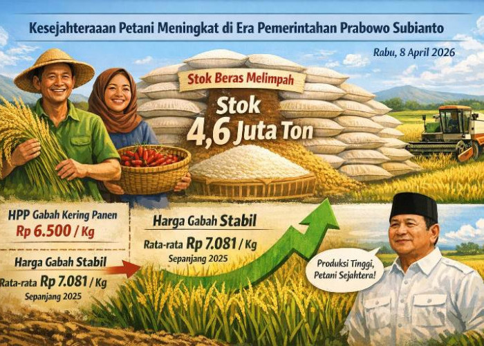 Era Prabowo, Petani Sejahtera Harga Gabah Stabil dan Stok Beras Nasional Melimpah