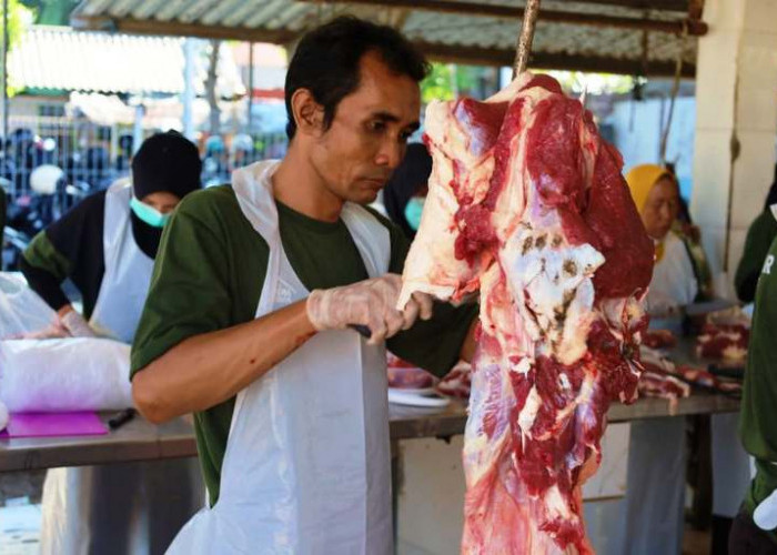 Pasar Murah Ramadan di 15 Kelurahan Surabaya, RPH Obral Daging Iga Rp 50 Ribu
