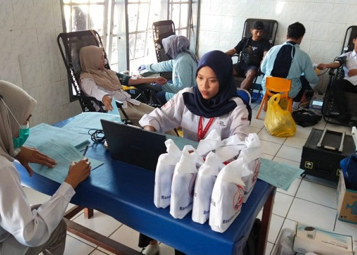 Sambut Hari Donor Darah Sedunia, 3 Rumah Sakit di Jember Himpun 110 Kantong Darah