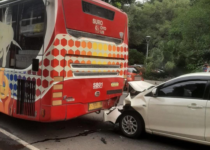 Mobil Tabrak Ekor Suroboyo Bus, Sopir dan Penumpang Terluka