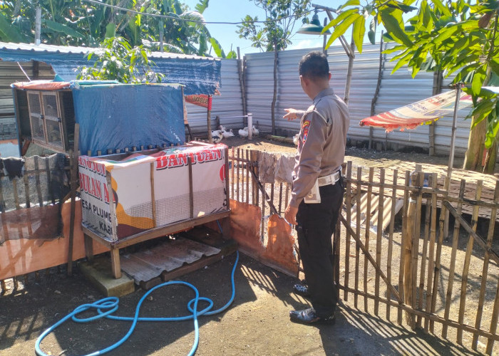 Polsek Porong Cek Pembibitan Entok Jumbo di Desa Plumbon