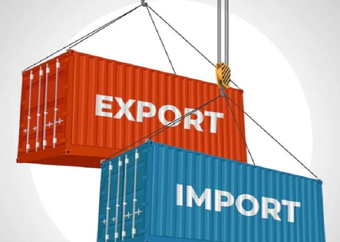 Importir Masih Menjerit di 2025: Pemeriksaan Pelabuhan Memicu Biaya Demurrage & Storage