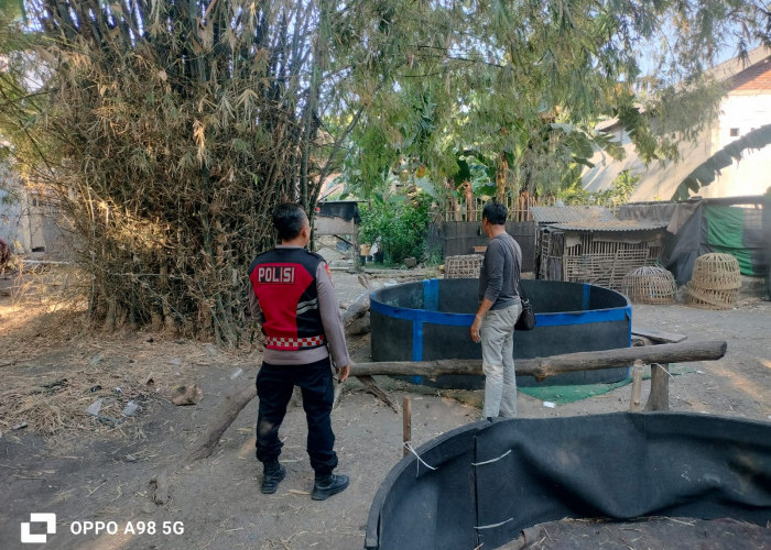 Tindak Lanjuti Laporan Masyarakat, Polsek Porong Datangi Arena Sabung Ayam di Pamotan