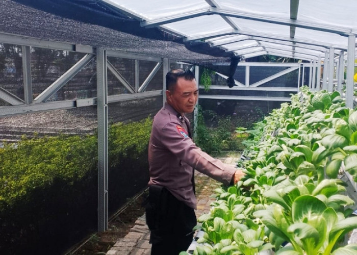    Polres Pelabuhan Tanjung Perak Perkuat Ketahanan Pangan Melalui Hidroponik Petekan di Surabaya