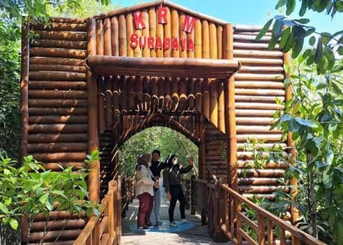 Kebun Raya Mangrove Surabaya Catat 2 Ribu Pengunjung dalam Sepekan