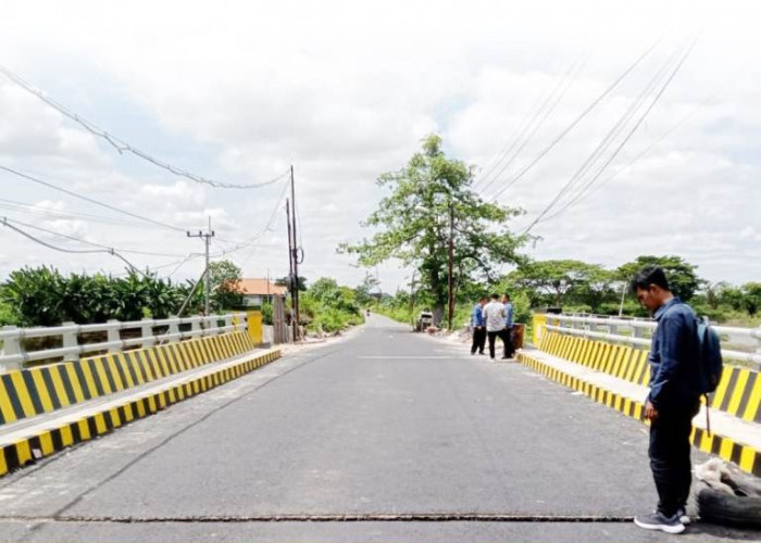 Rehabilitasi Jembatan Dandu Selesai, Infrastruktur Lamongan Meningkat