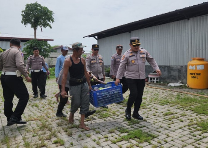 Polres Pelabuhan Tanjungperak Panen Terong di Tambakwedi, Dukung Swasembada Pangan Astacita