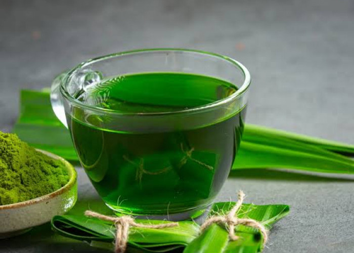 Segudang Manfaat Air Rebusan Daun Pandan untuk Kesehatan