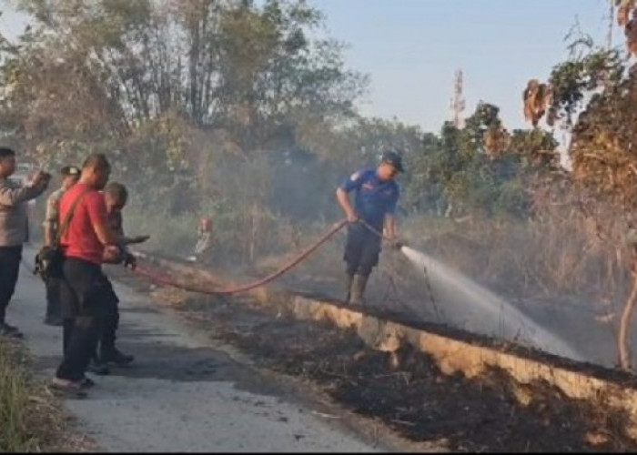 Lahan 2.000 M² di Tanjung Lamongan Terbakar, Polisi dan Damkar Gercep Padamkan Api