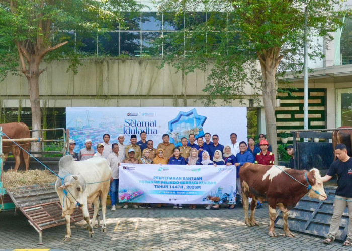 Terminal Teluk Lamong Bagikan 12 Sapi dan 21 Kambing