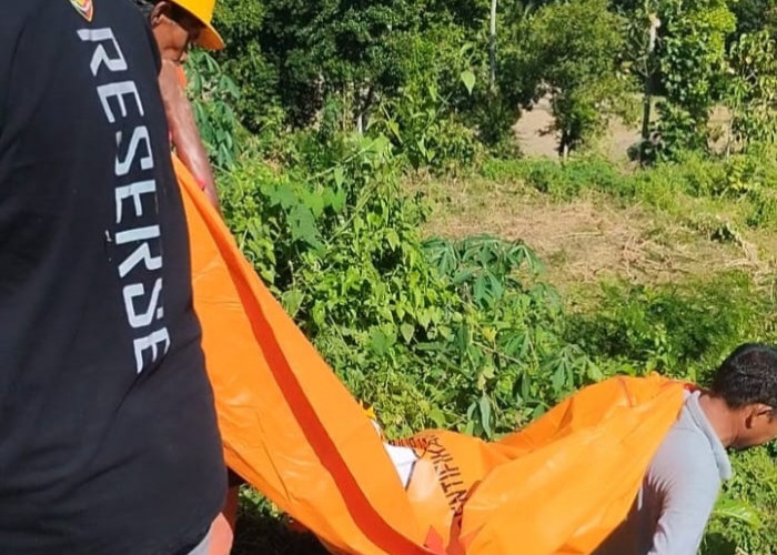 Depresi Usai Dicerai Istri, Pria di Jember Ditemukan Tewas Mengenaskan di Kebun Singkong
