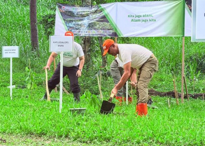 Mitigasi Vegetasi Diperkuat BNPB untuk Turunkan Risiko Bencana di Jawa Timur