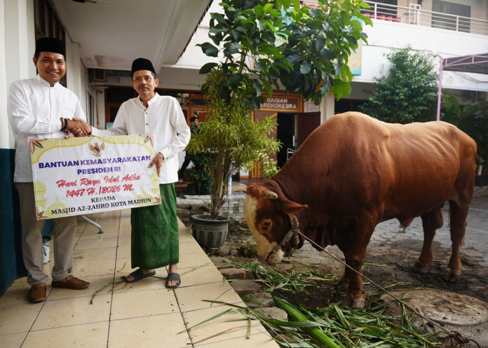 Plt Wali Kota Madiun Serahkan Hewan Kurban Bantuan Presiden Prabowo