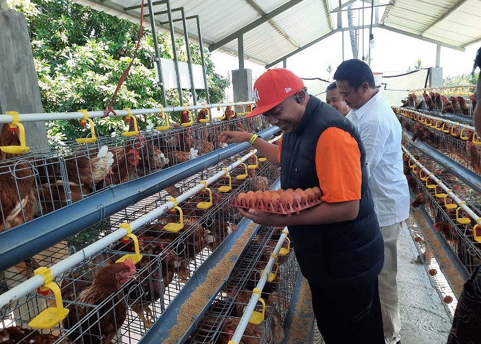 Gandeng BI, Pemkab Situbondo Luncurkan Bantuan 1.000 Kandang untuk Kendalikan Inflasi