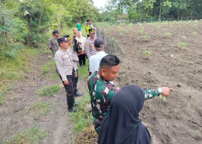 Dukung Ketahanan Pangan, Ketua Tim II Polres Bojonegoro Tinjau Pekarangan Bergizi di Desa Kendung