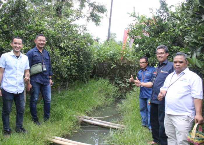 Jeruk Semboro, Harumnya Inovasi Petani Binaan BRI