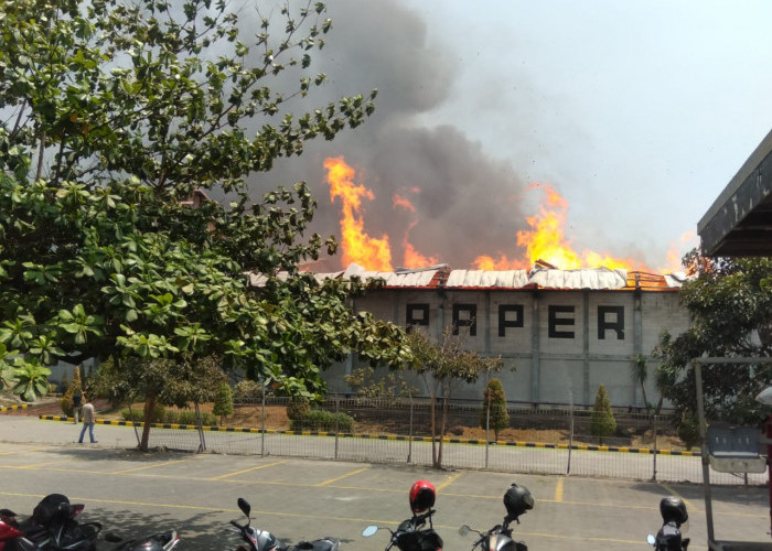 Pabrik Tisu Ngoro Terbakar Hebat, Puluhan  Karyawan Berhamburan