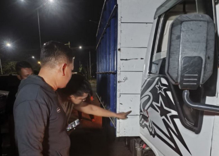 Gerak Cepat Satlantas Polres Ngawi Ungkap Kasus Tabrak Lari, Pengemudi dan Truk Diamankan