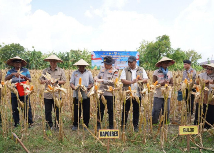 Ikuti Panen Raya Jagung via Jaringan Virtual, Kapolres  Bojonegoro Perkuat Ketahanan Pangan