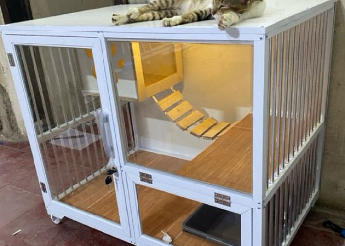 Inspirasi Kandang Kucing Outdoor dari Baja Ringan, Kokoh dan Estetik di Lahan Sempit
