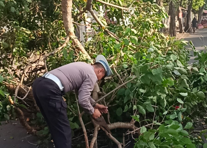 Patroli Wilayah, Satlantas Polres Kediri Bantu Atasi Pohon Tumbang