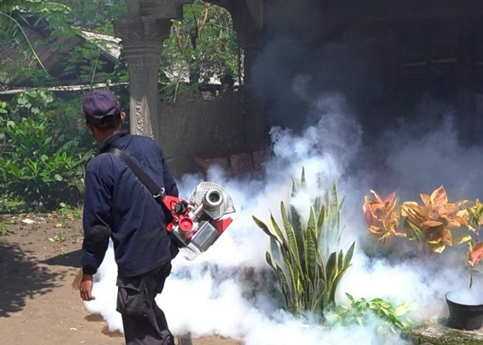 Awal Tahun, 44 Warga Tulungagung Terserang Demam Berdarah