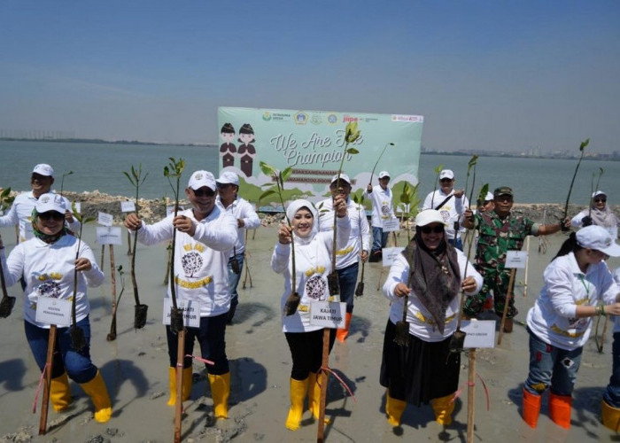 Jaksa Menanam, Kejati Jatim Tanam 200.500 Pohon Bakau di Pesisir Pantai Utara