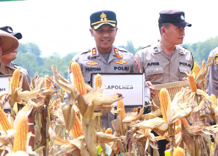 Panen Raya Jagung Serentak Kuartal II 2026, Polres Ngawi Dukung Ketahanan Pangan Nasional Bersama Presiden