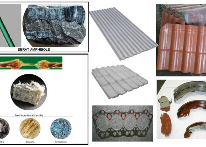 YLPK Jatim Apresiasi Putusan PT DKI: Asbes Putih Dinyatakan Tidak Berbahaya