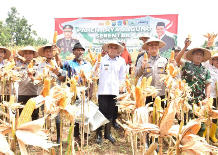 Dukung Swasembada Pangan, Pemkab Lamongan Panen Raya Jagung di Lahan Tidur