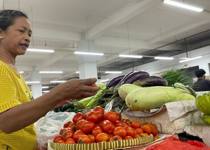 Harga Tomat di Ponorogo Rp 3 Ribu per Kilogram
