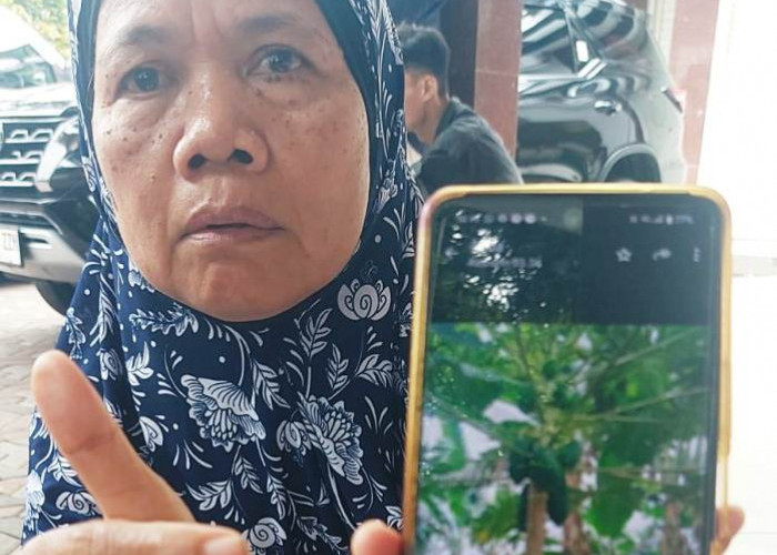 Penggarap Lahan di Lidah Wetan Surabaya Mengaku Diintimidasi Petugas DSDABM
