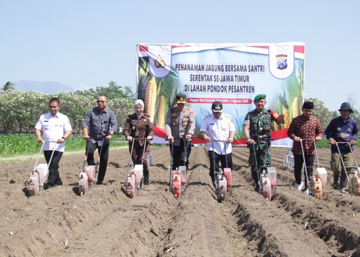 Kolaborasi Dukung Swasembada Pangan, Polres Kediri Kota bersama Forkopimda dan Ponpes Tanam Jagung Kuartal III